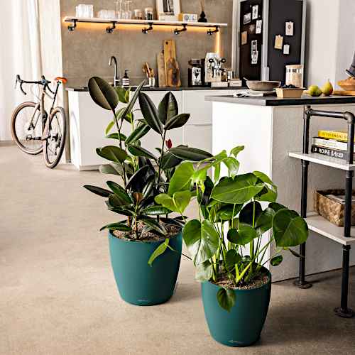 Floor Cachepot-Planter